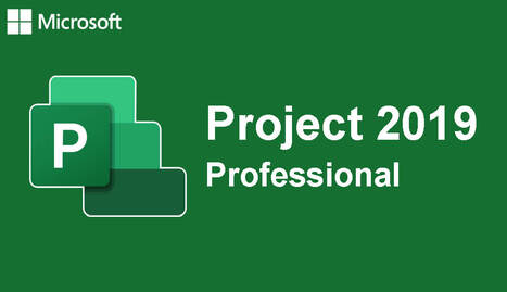 Project Professional 2019 1 PC Online CD KEY